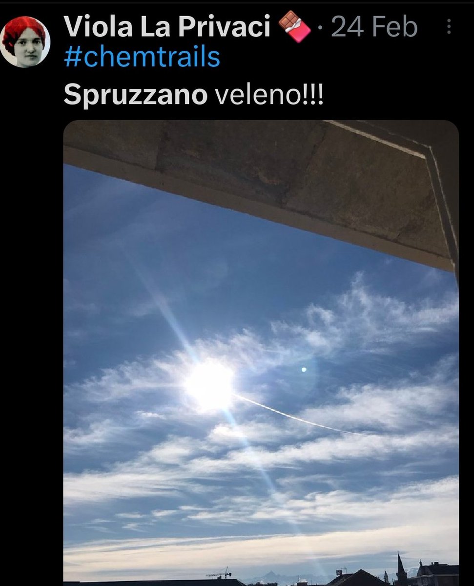 The Magician tweet media