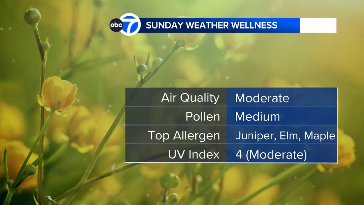 Jeff Smith tweet media