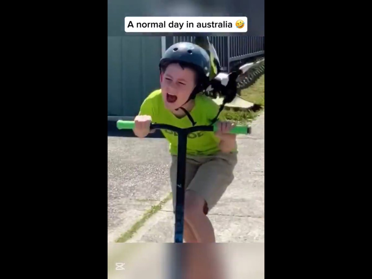 The Uninvited Heckler tweet media