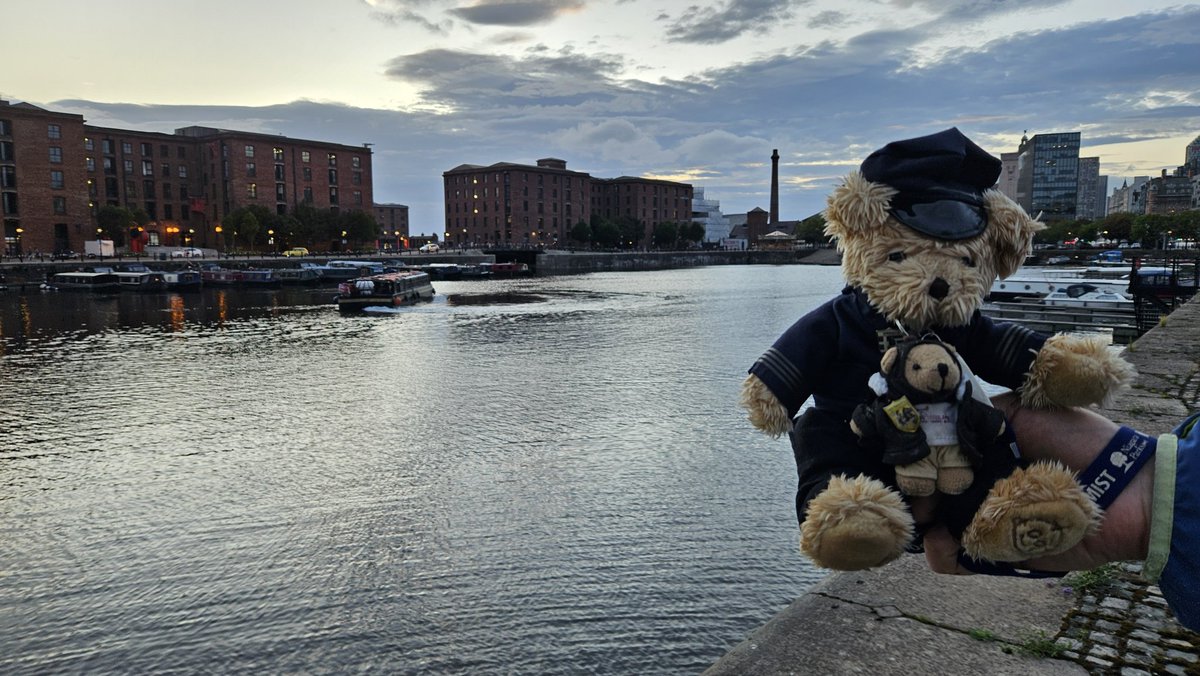 Swiss Piper Bears tweet media