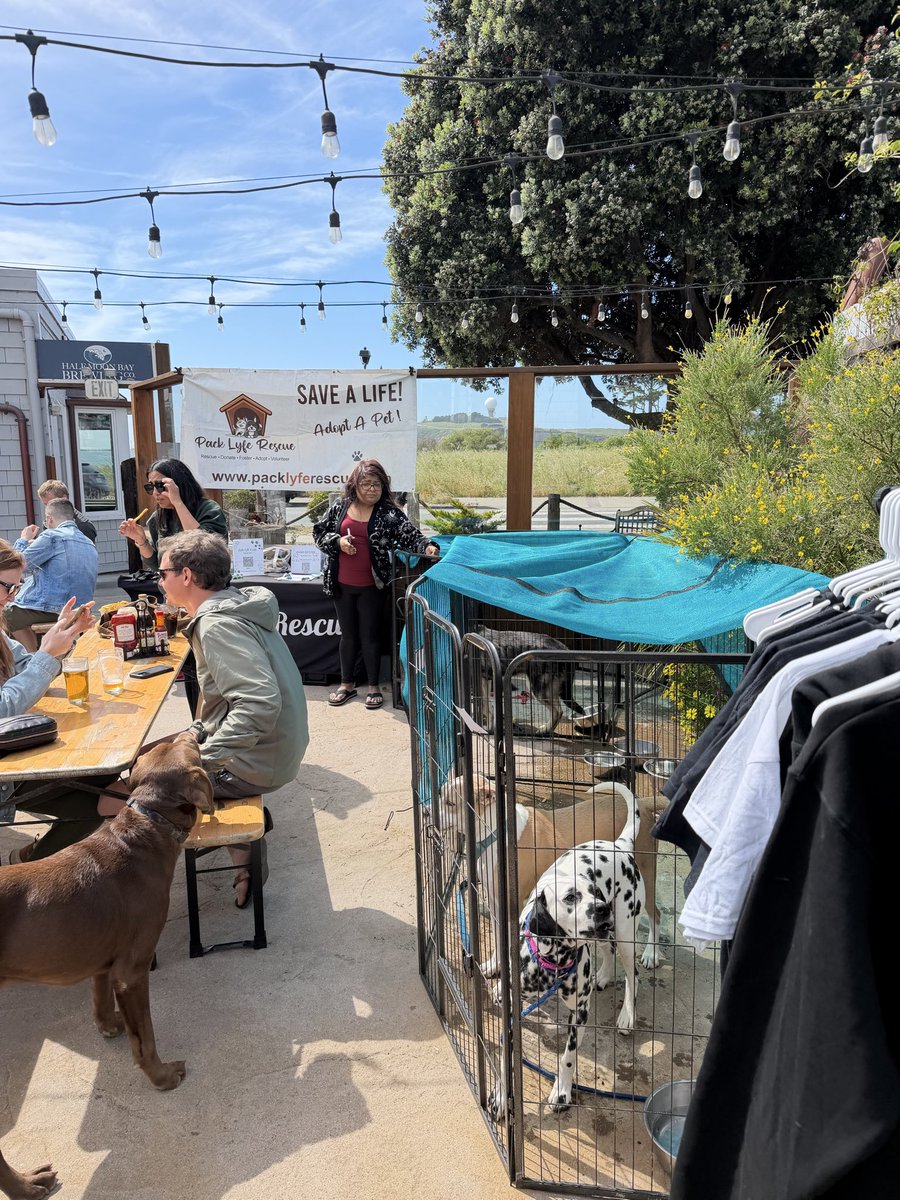 Lenny Mendonca tweet media