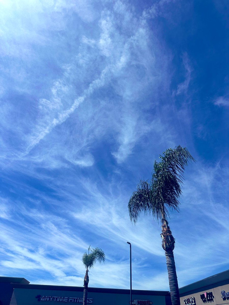 NKaravedas's tweet image. Afternoon vibes #GetOutside #HB #SoCal 😎☀️🌴 @JKaravedas