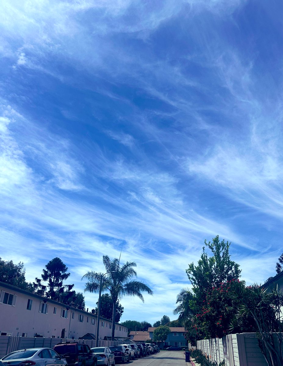 NKaravedas's tweet image. Afternoon vibes #GetOutside #HB #SoCal 😎☀️🌴 @JKaravedas