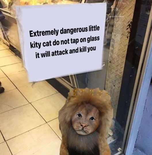 Long ASher 🚬 tweet media