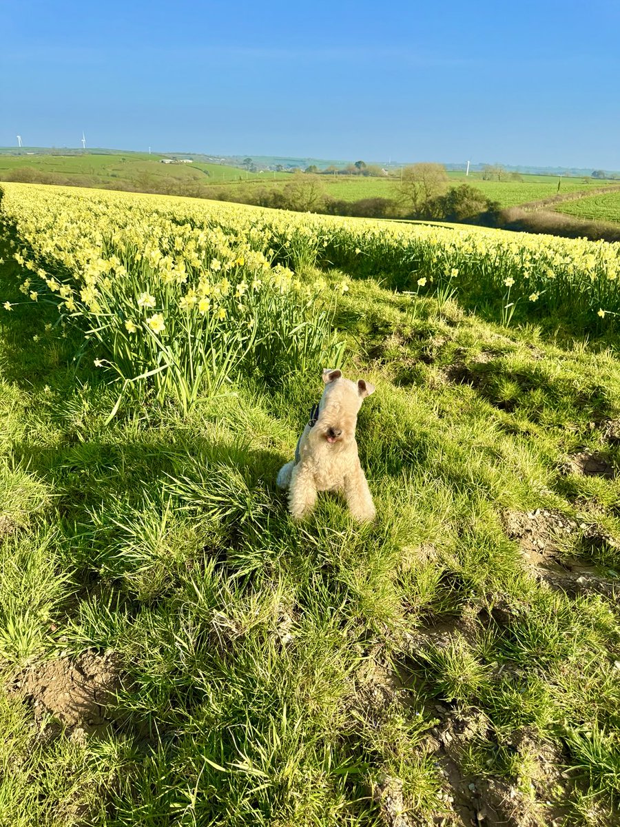 Bertie Lakeland tweet media