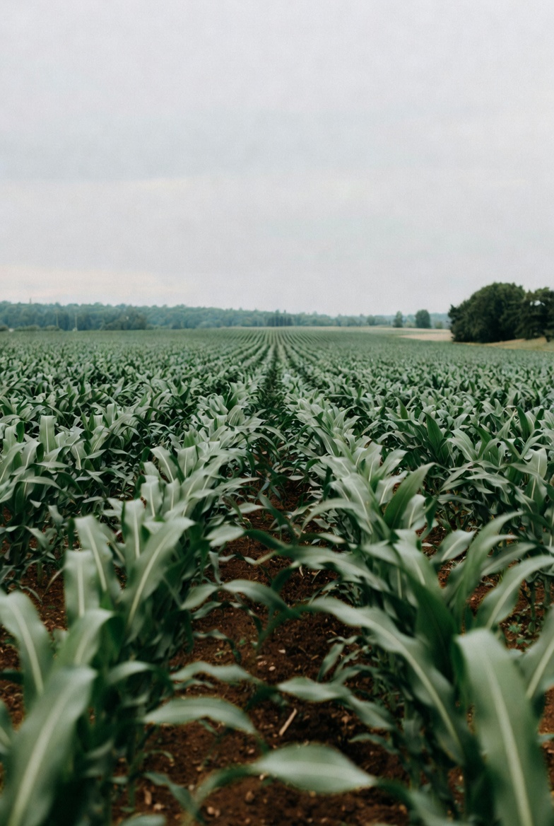 arszczecin 🇵🇱 tweet media