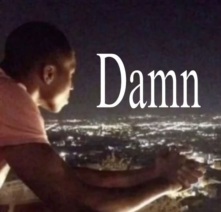 Mirko 🐰 tweet media