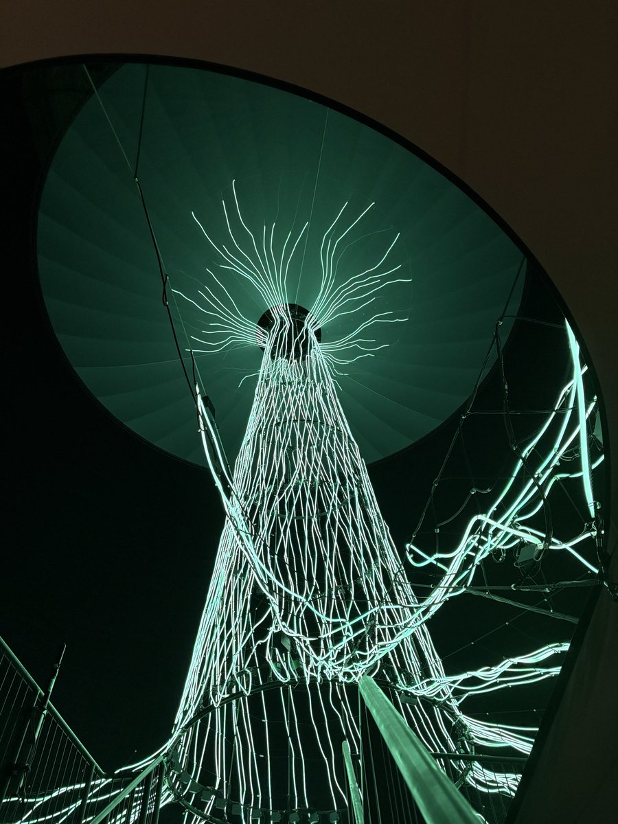 Himbeere tweet media