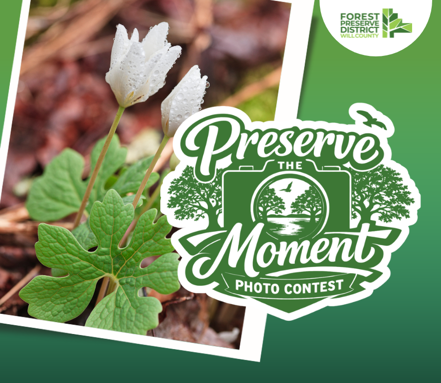 WillCoForestPreserve tweet media