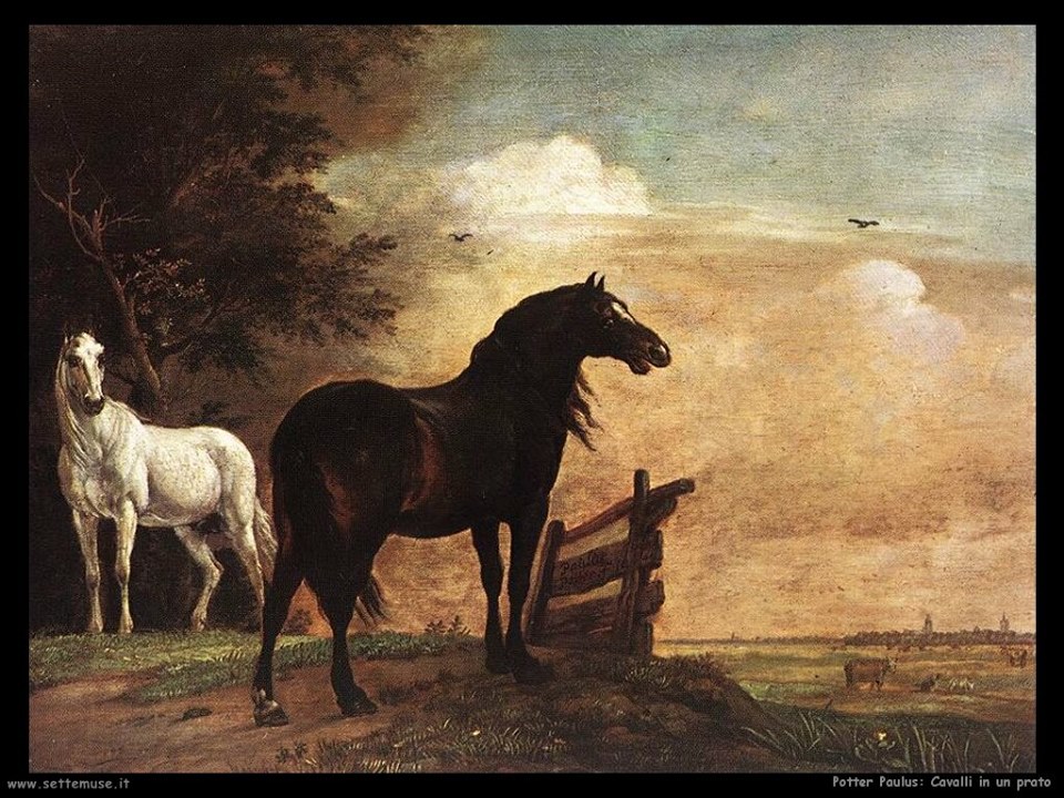 claudio borlotto tweet media