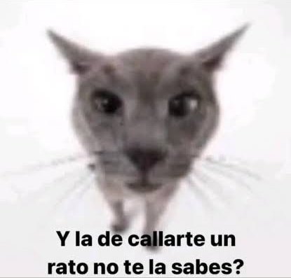 𝐋𝐞𝐳𝐲 𝐑𝐨𝐝 🙀 tweet media