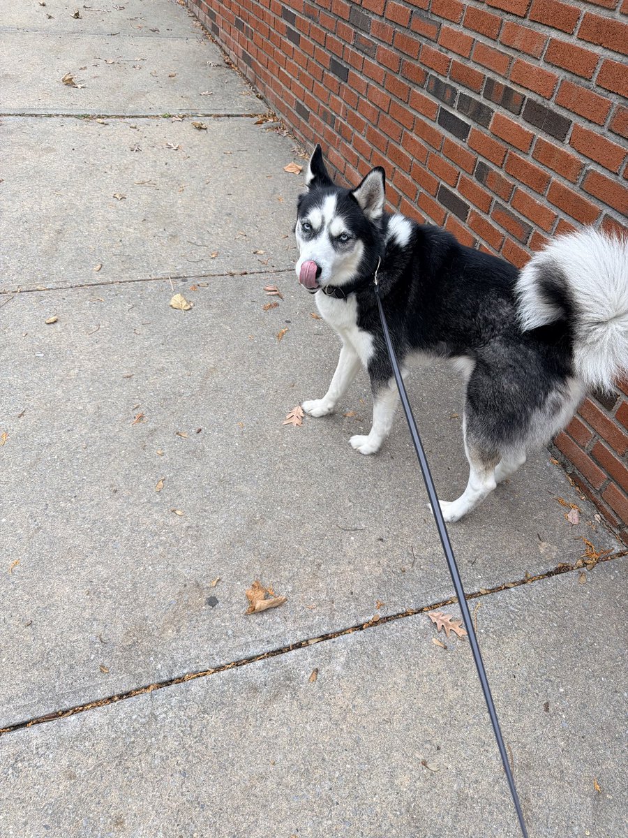 Malcolm Wright tweet media