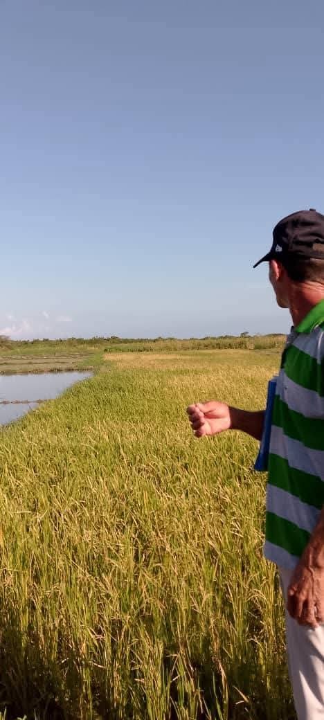 Yudelkis Ortiz Barceló tweet media