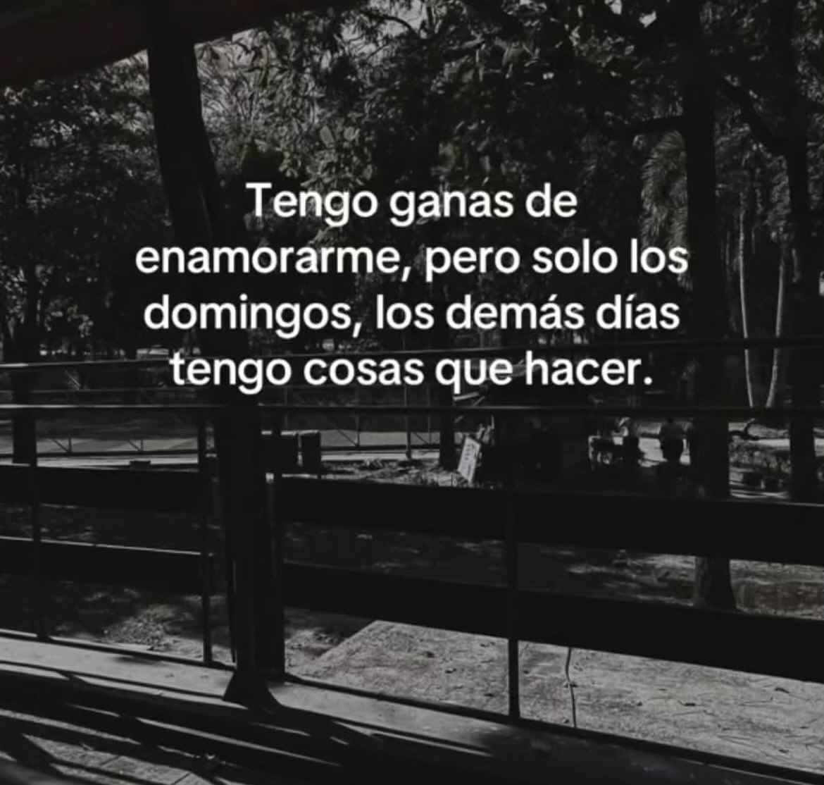 Sand 🇨🇱 tweet media