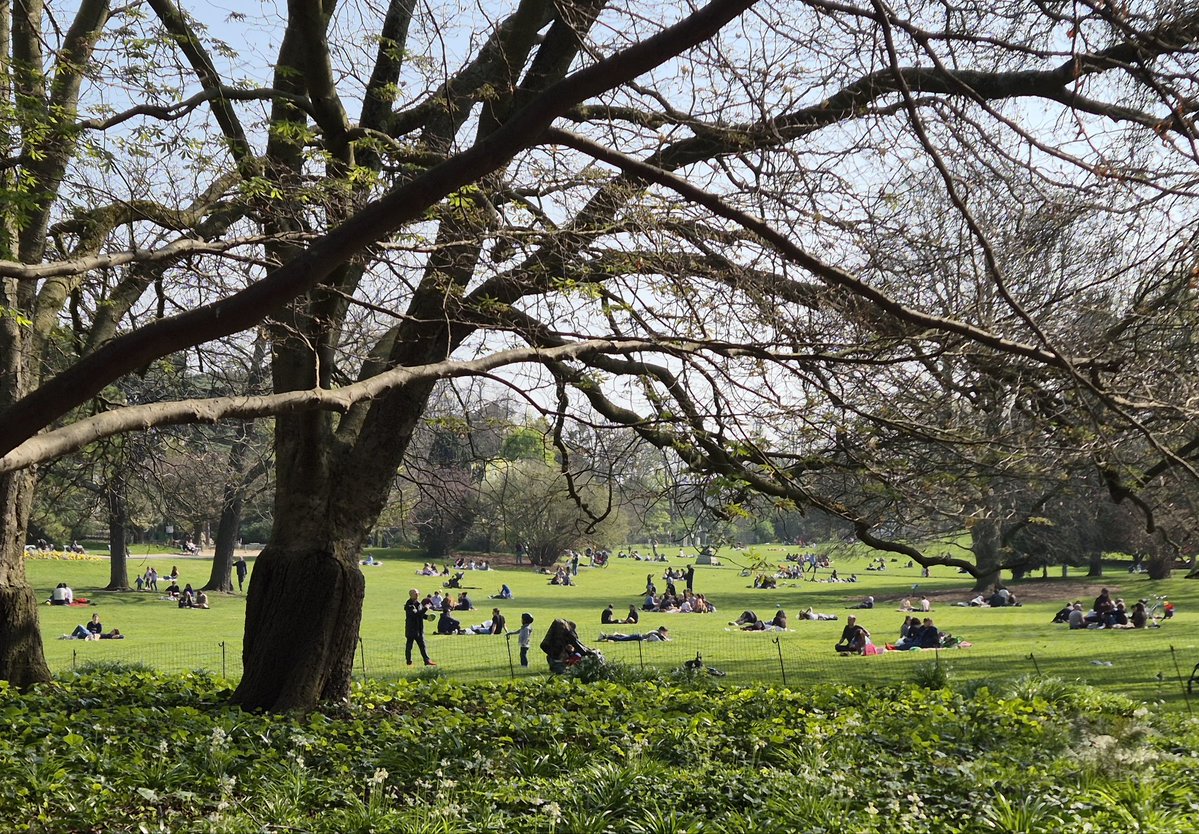 Alain CADIX tweet media