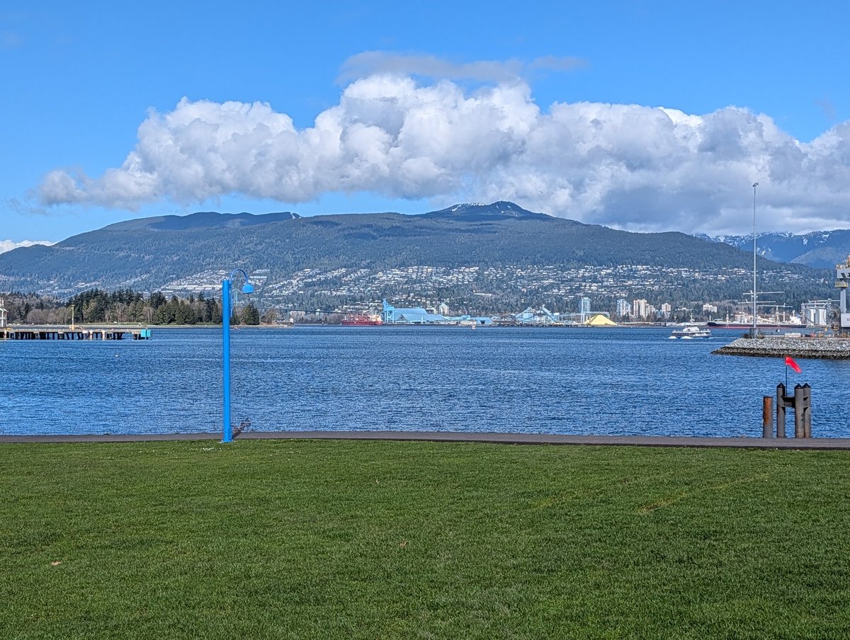 guyfelicella🇨🇦🍁 tweet media