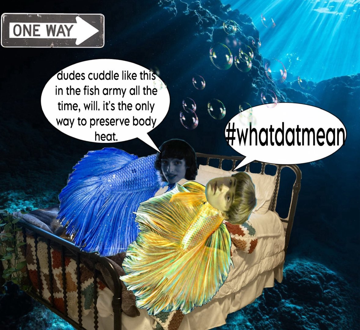 𖦁ׅ ࣪ ׂ sae ៵ 🐠 ⋆| bubbler pr manager tweet media