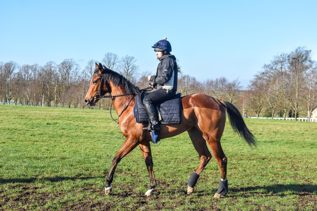 The Legacy Group Racing Club tweet media