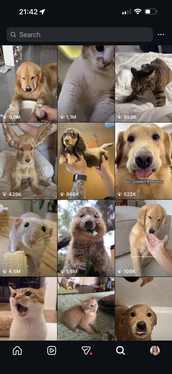 австрийская милка tweet media