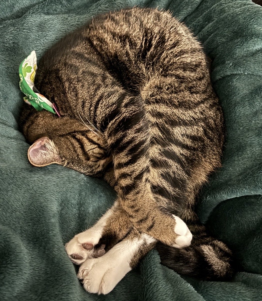 🌸palefairy🧚🏻♀️ tweet media