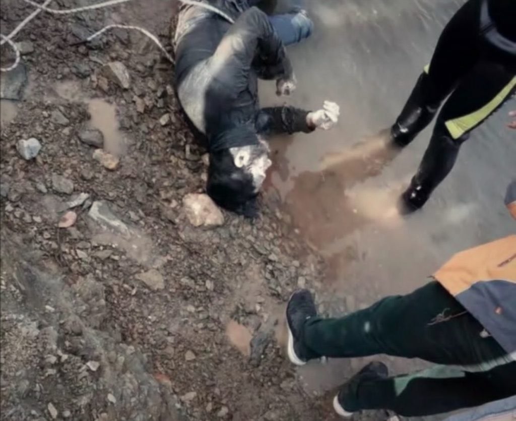 چو‌پان tweet media