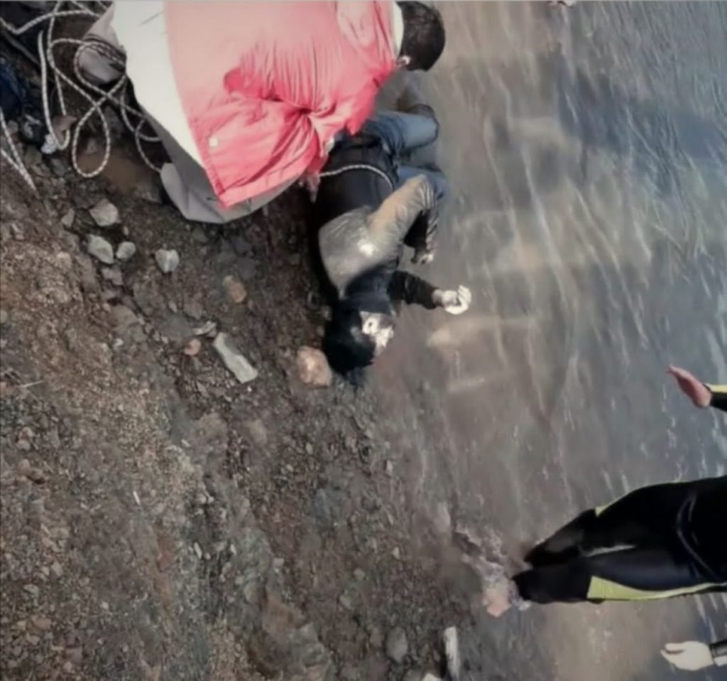 چو‌پان tweet media