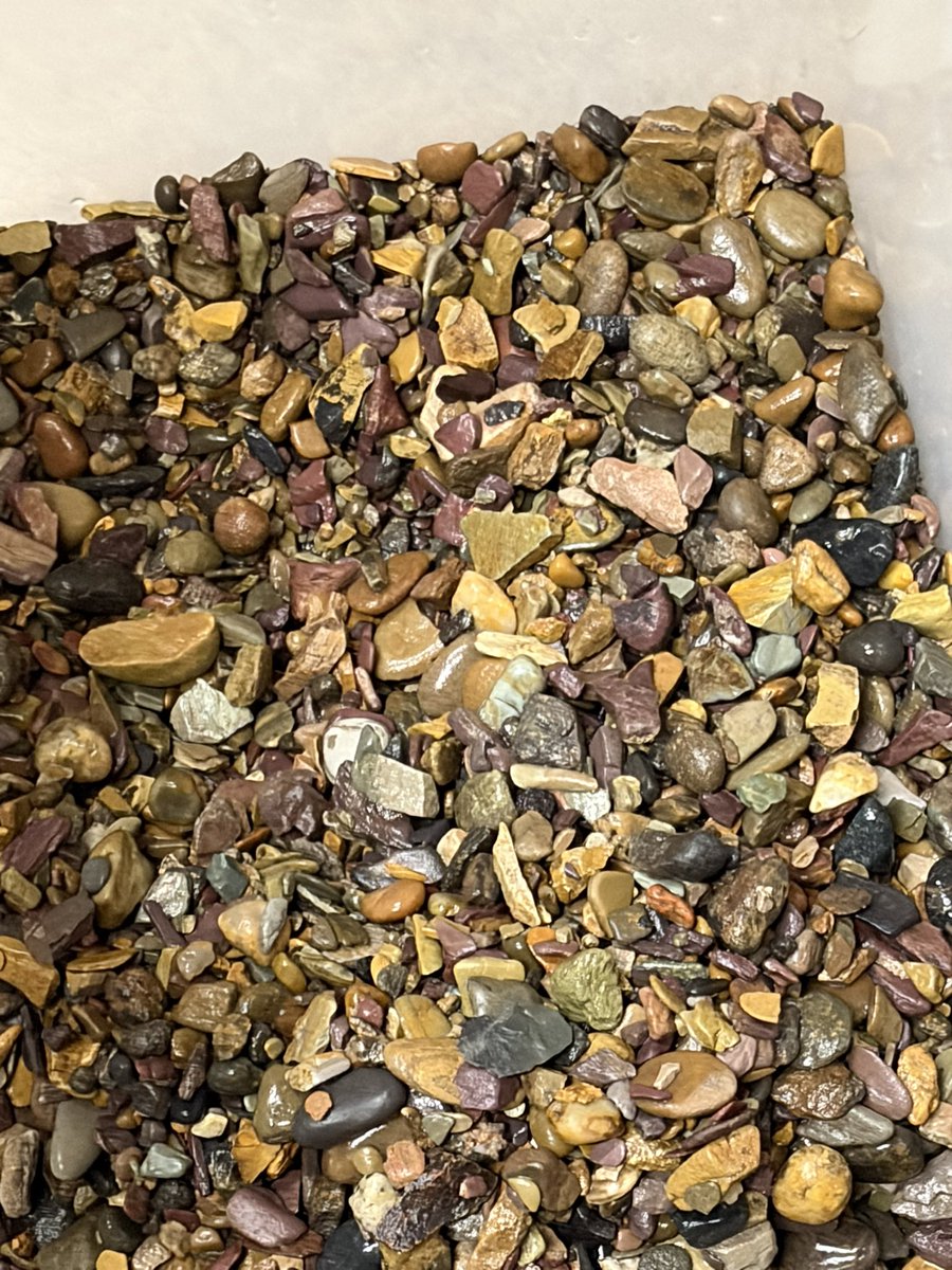 ★ vivi ★ tweet media