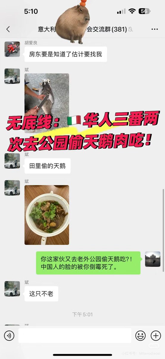 YiFeng Su tweet media