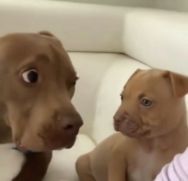 ★彡💚( 〃▽〃)_cιтι❤️彡★ tweet media