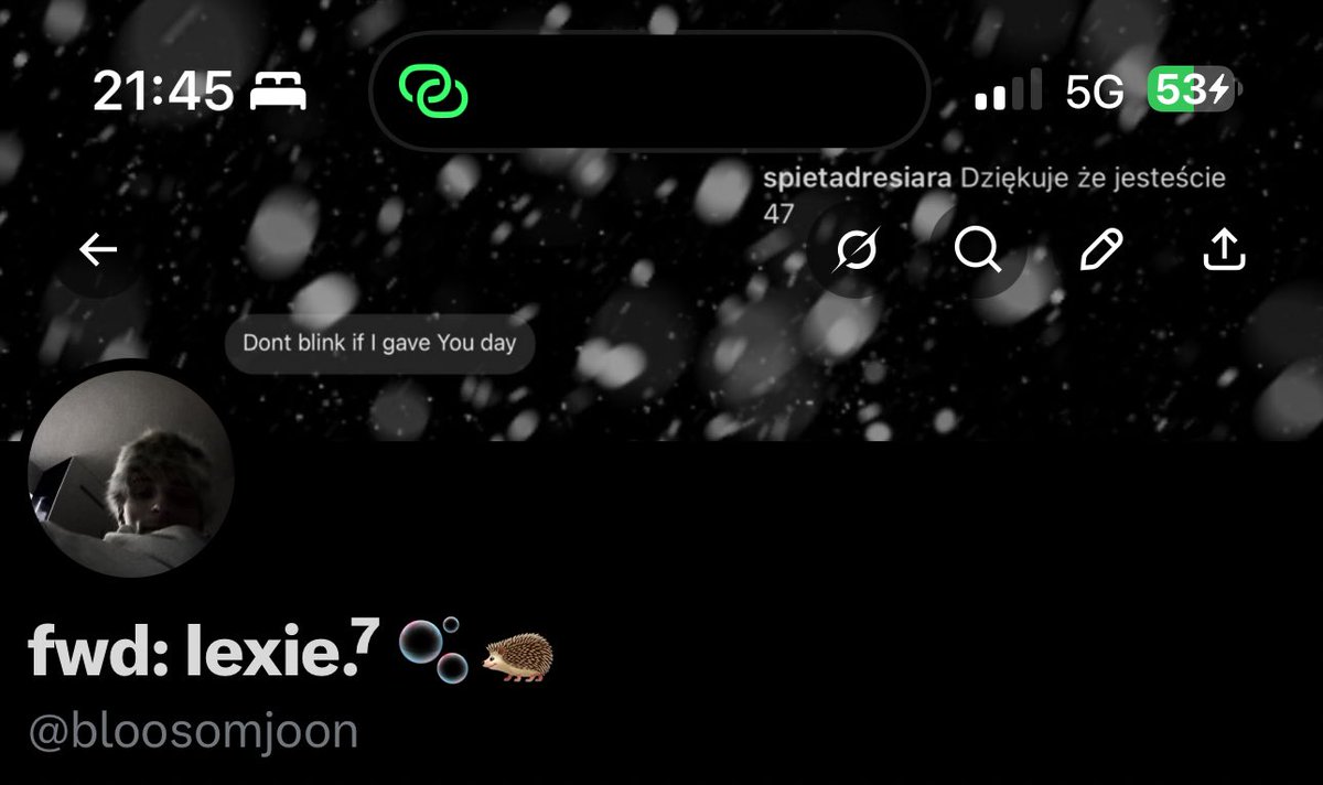 fwd: lexie.⁷ 🫧🦔 ARIRANG tweet media