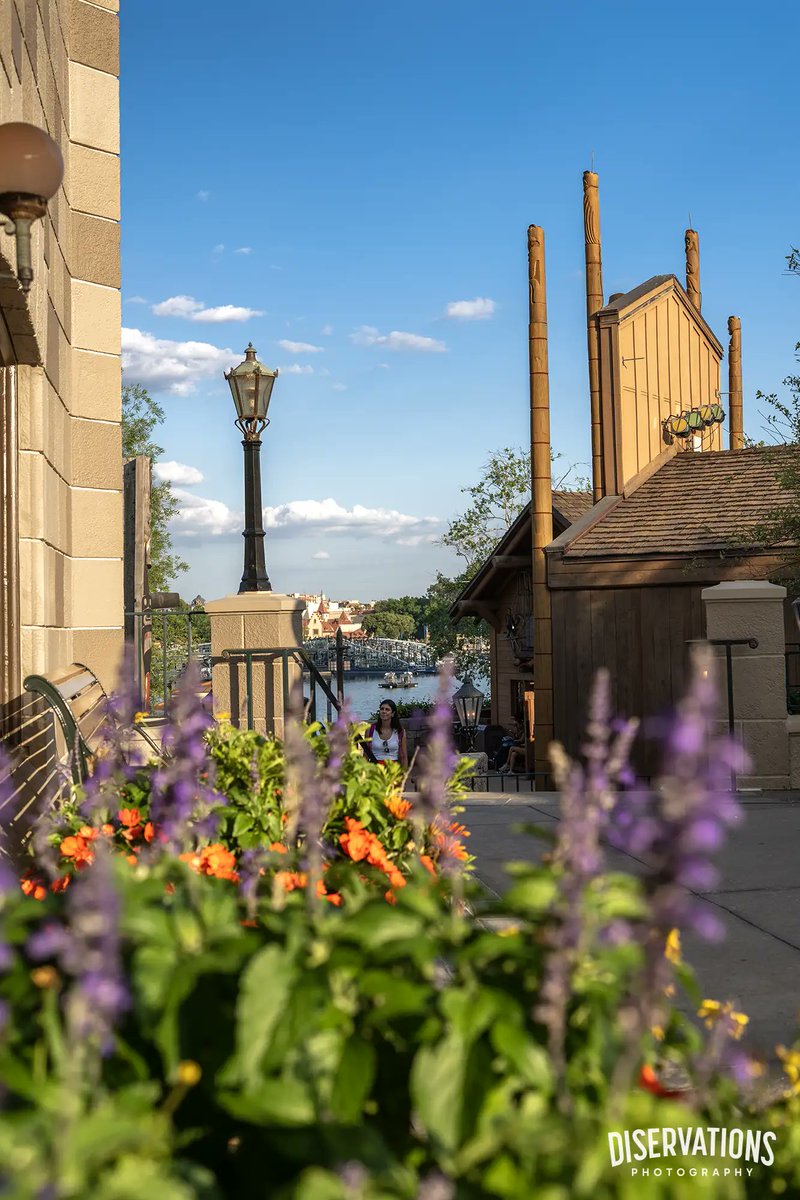 Diservations tweet media