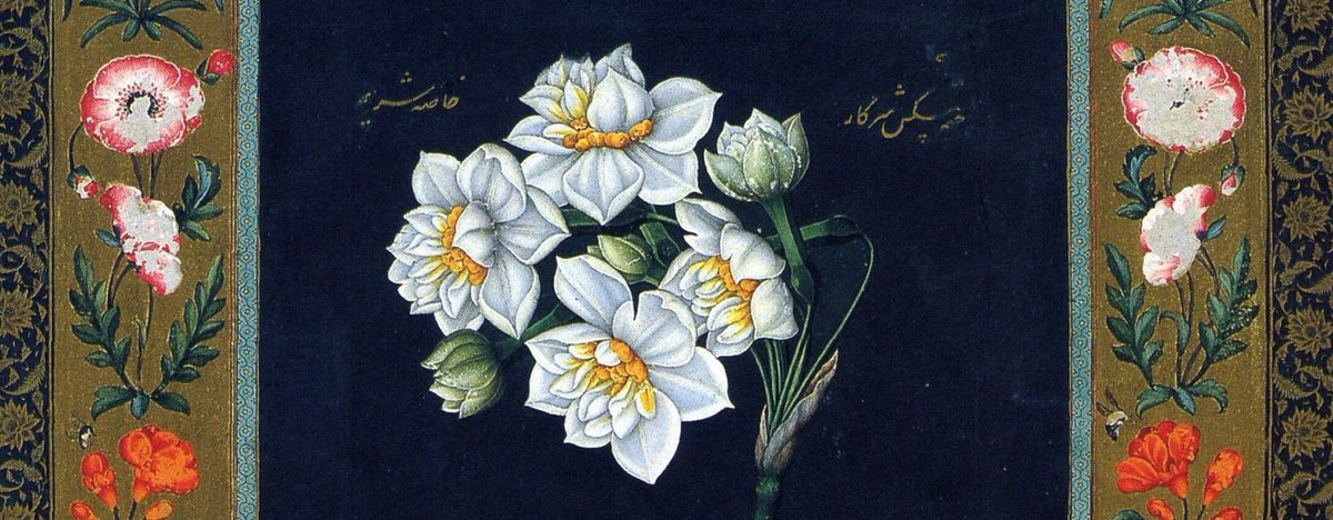 Umulur ki yazılan, istenilenden daha güzeldir.