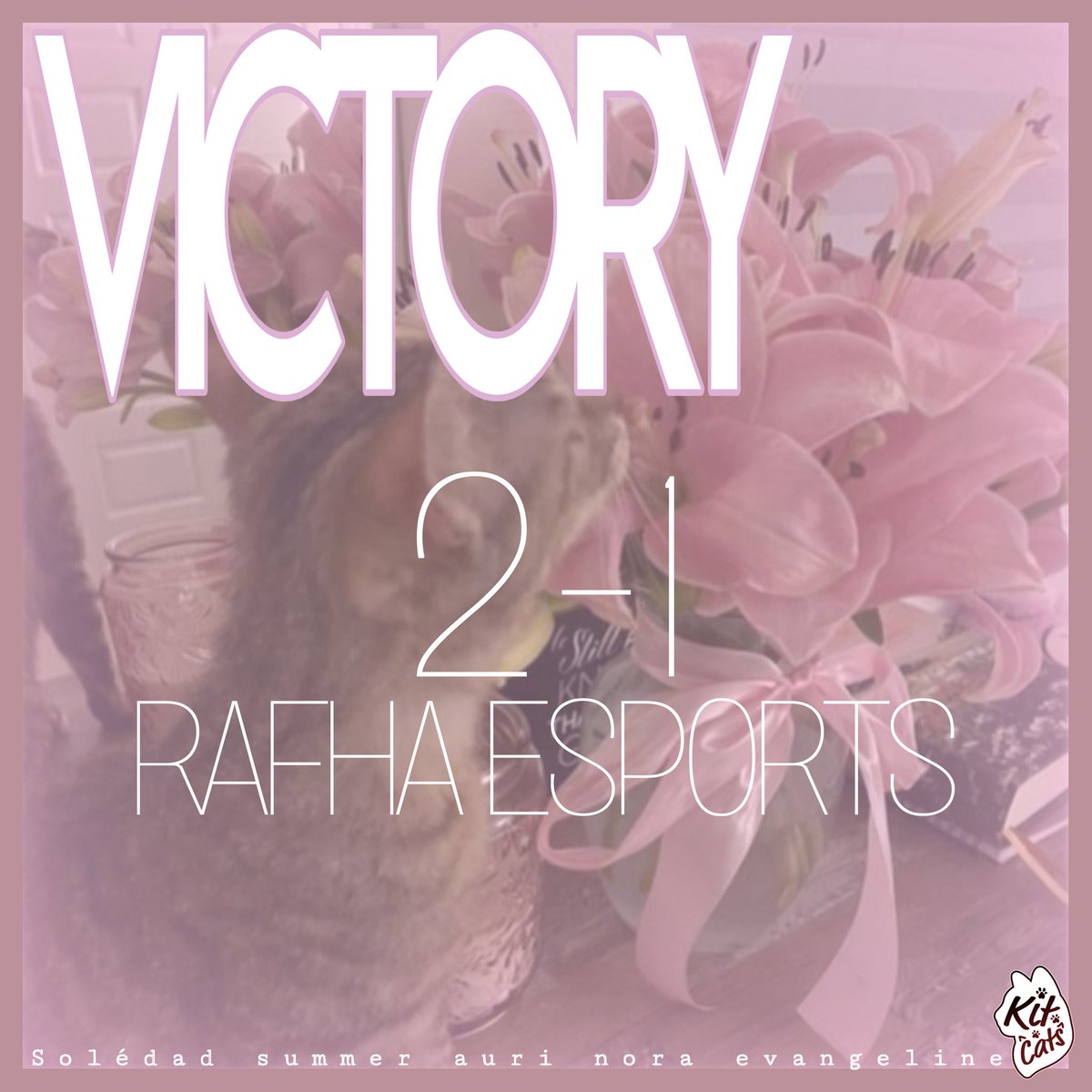 KIT CATS tweet media