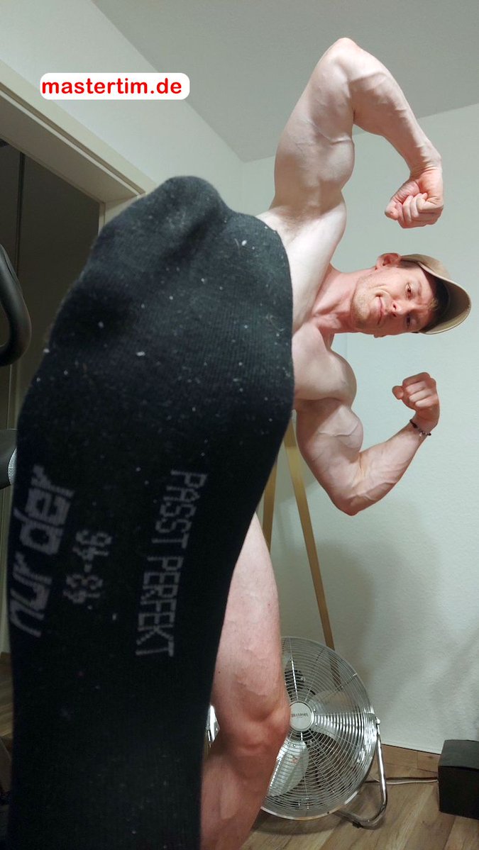 kingtim2012 tweet media