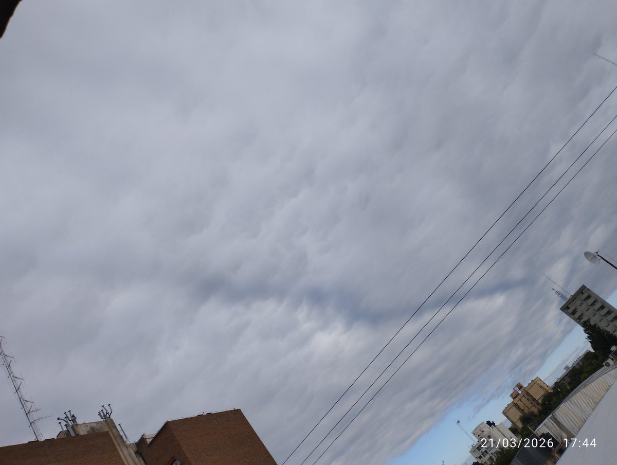 Pedrix 🫓⚡ tweet media