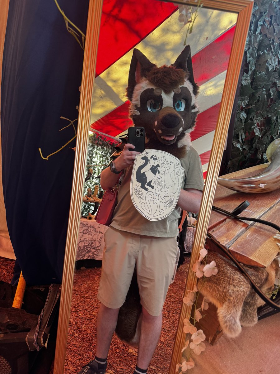 Apollo 🔜 TFF, LVFC tweet media