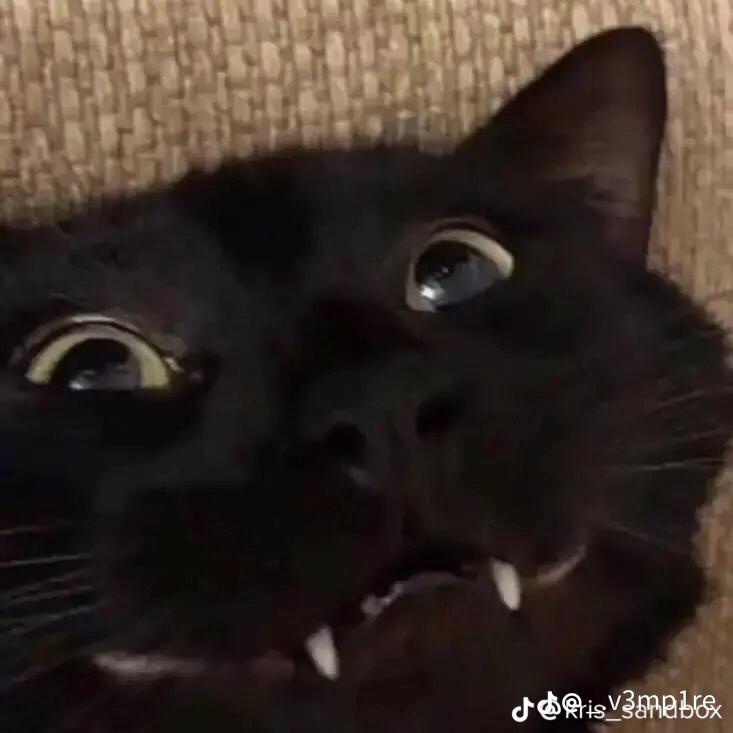 GenericMusicMan (ᴳᴹᴹ) || 𝐖𝐎𝐑𝐊𝐇𝐎𝐑𝐒𝐄 '26 tweet media