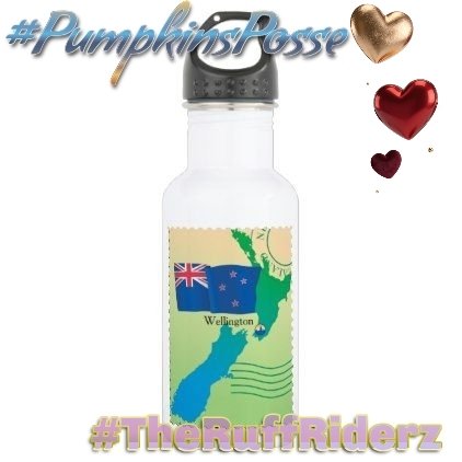 LT. Oyster Shuck😸 & LT. Pizzelle Puck🐶 tweet media