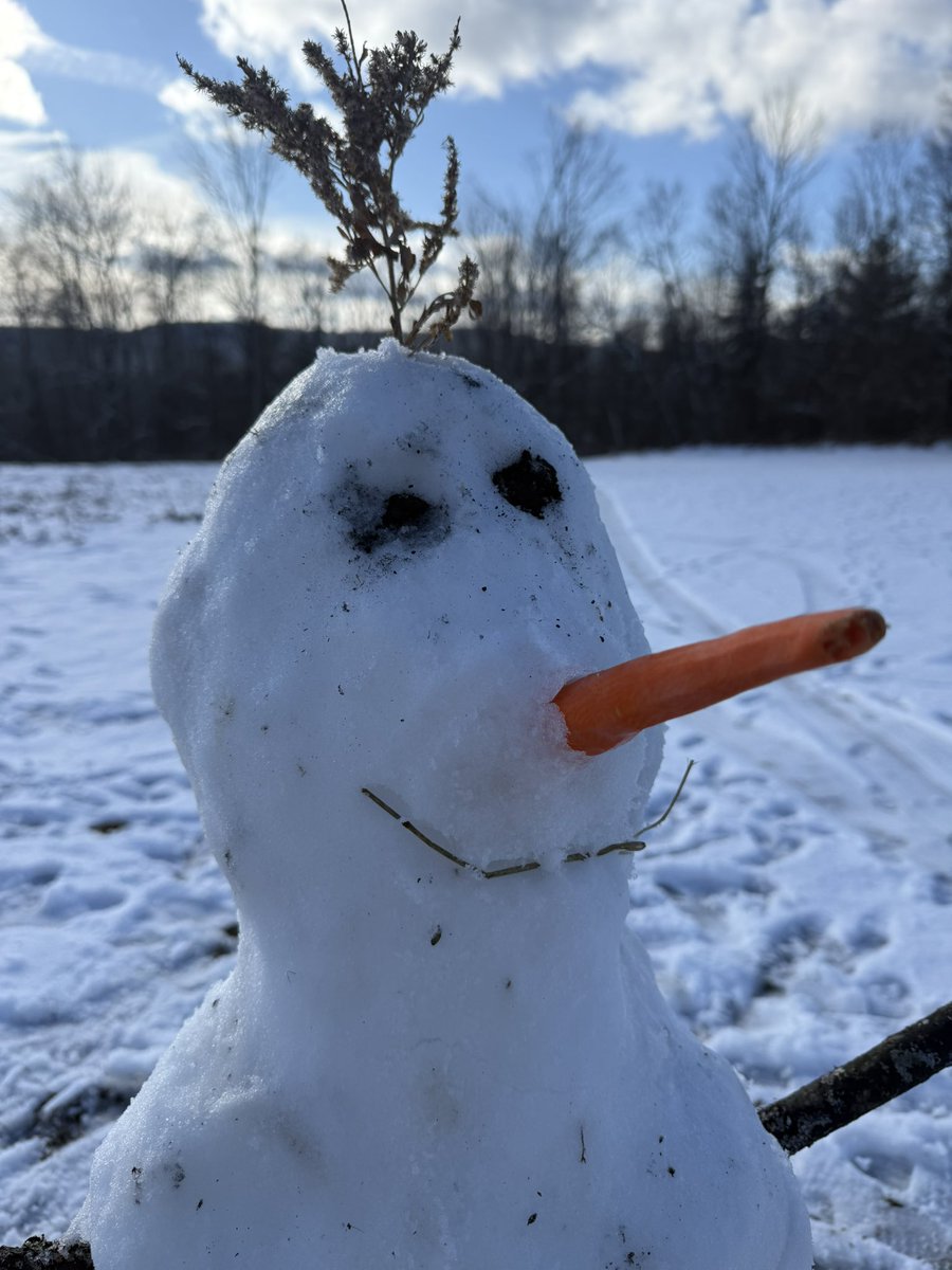 Old Hollow Tree tweet media