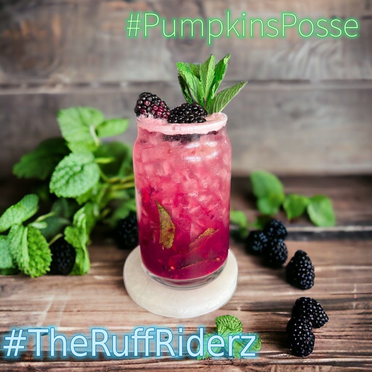 LT. Oyster Shuck😸 & LT. Pizzelle Puck🐶 tweet media