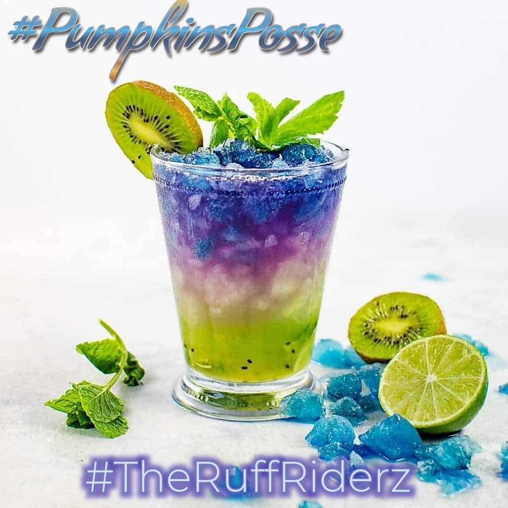 LT. Oyster Shuck😸 & LT. Pizzelle Puck🐶 tweet media