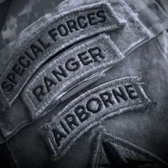 YankeeDog tweet media