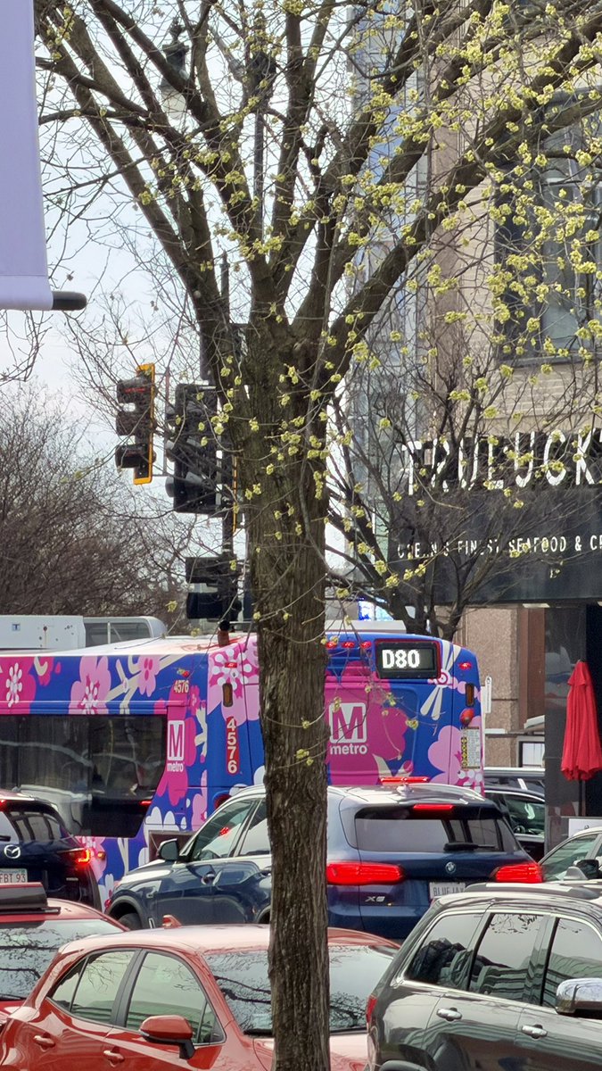 astronaut snoopy tweet media