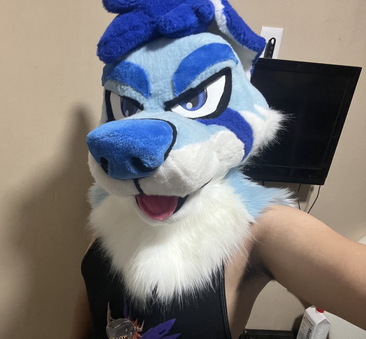 Synchro Wolf tweet media