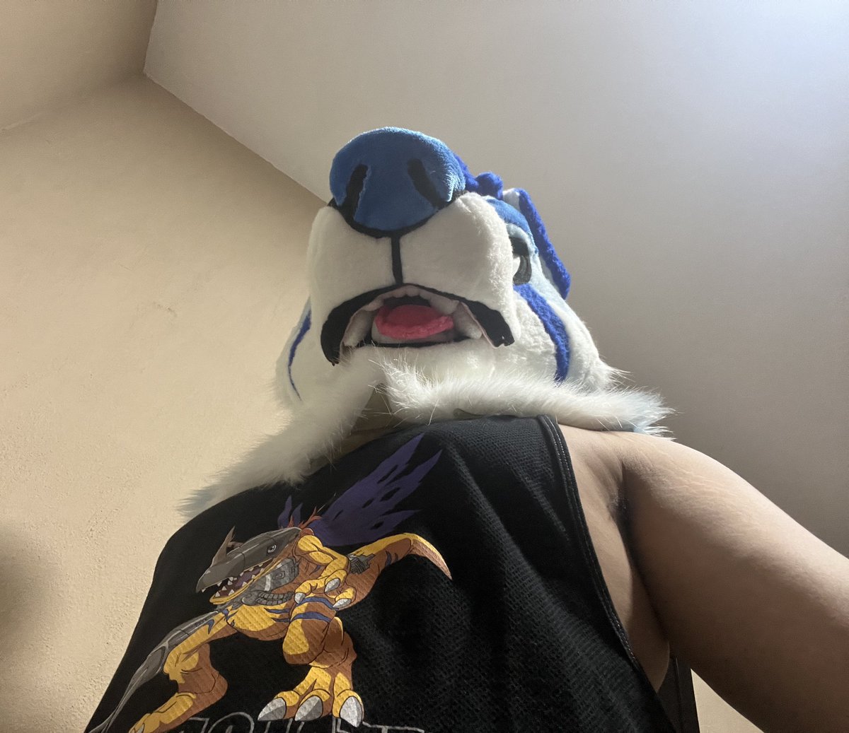 Synchro Wolf tweet media