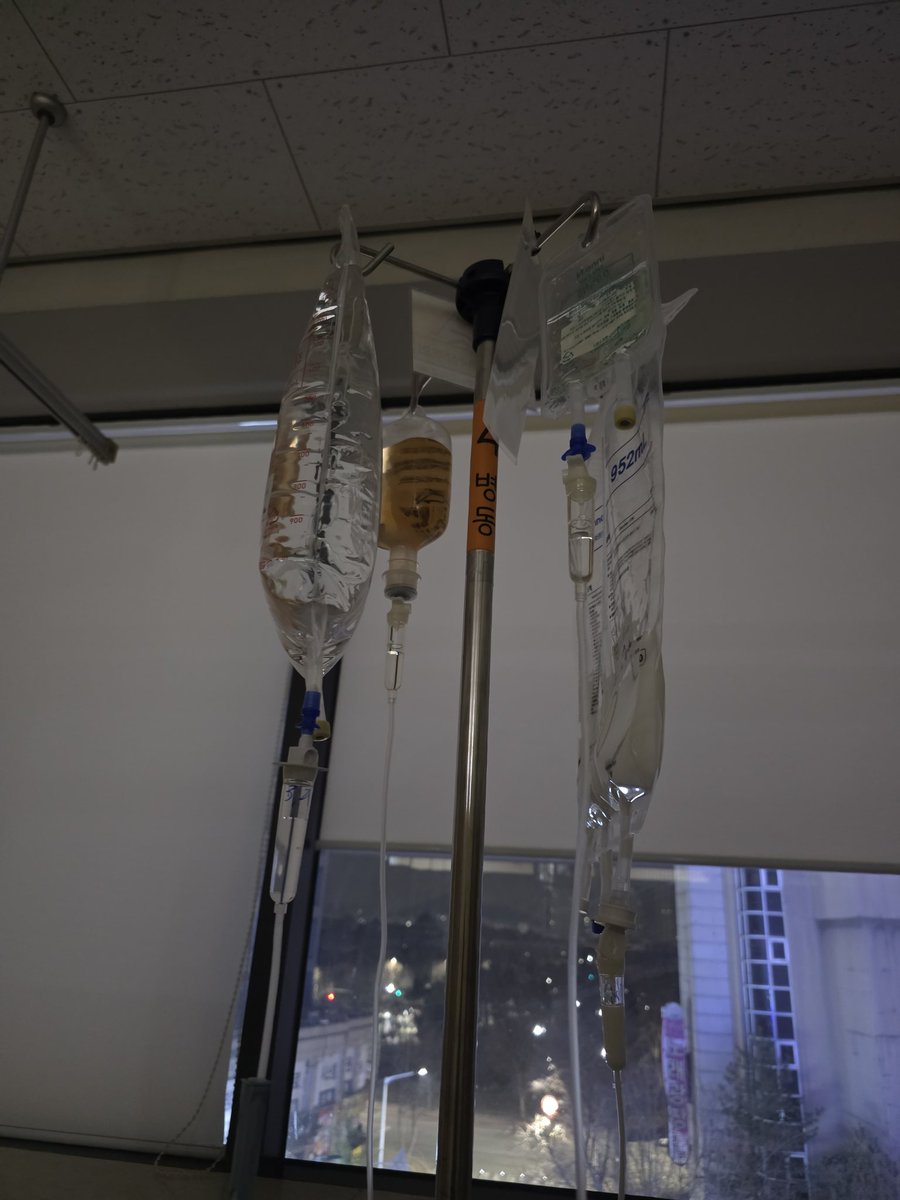 별이된 몽실.담비 (별몽실담비언니) tweet media