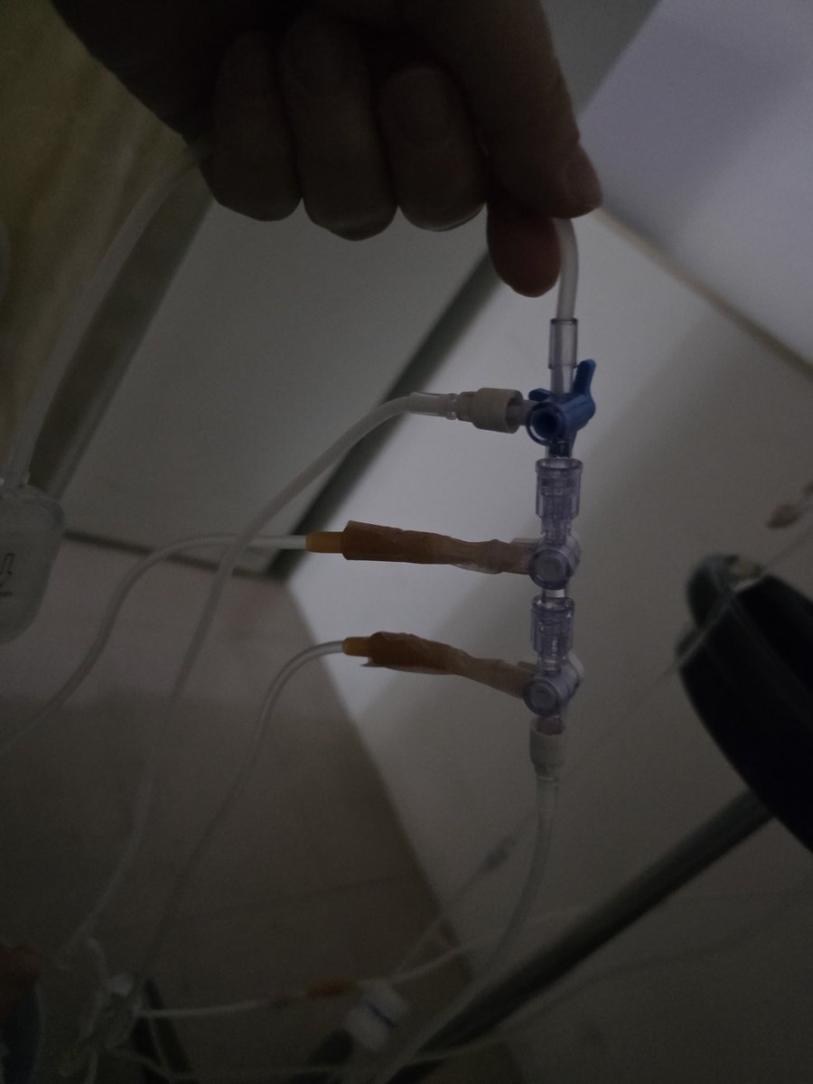 별이된 몽실.담비 (별몽실담비언니) tweet media