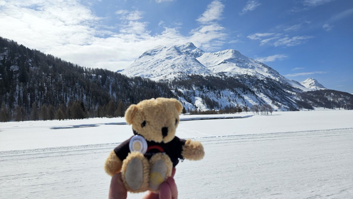 Swiss Piper Bears tweet media