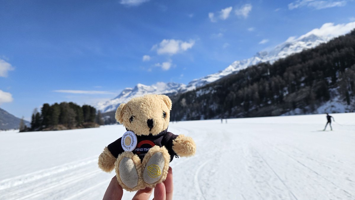Swiss Piper Bears tweet media