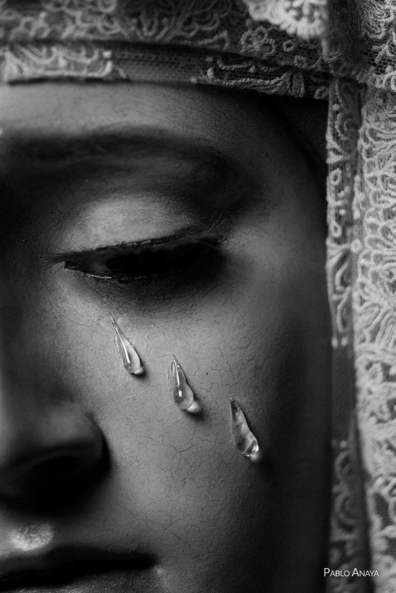 Hdad. Soledad Jerez tweet media